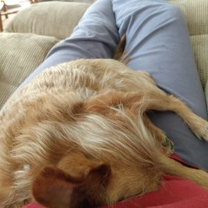 Meet your Posher, Janet